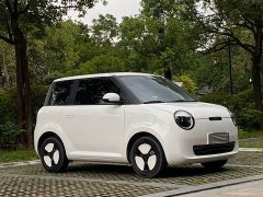 Changan Lumin 205km Xiangqin Edition - ფოტო 3