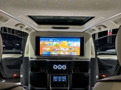 GAC Aion M8 2021 Master Series 390T Four-Seat Glory Edition - ფოტო 13