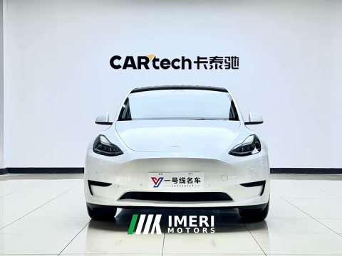 2022 Tesla Model Y Rear-Wheel Drive - ავტომობილი ჩინეთიდან