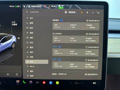 Tesla Model Y Rear-Wheel Drive - ფოტო 15