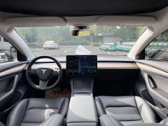 Tesla Model 3 Standard Range RWD Upgrade - ფოტო 8