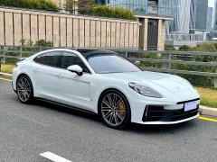 Porsche Panamera 2.9T - ფოტო 3