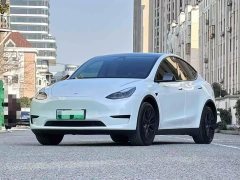 Tesla Model Y Long Range All-Wheel Drive - ფოტო 1