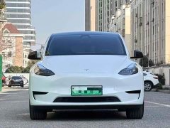 Tesla Model Y Long Range All-Wheel Drive - ფოტო 2