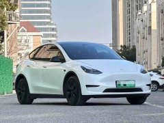 Tesla Model Y Long Range All-Wheel Drive - ფოტო 3