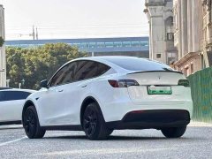 Tesla Model Y Long Range All-Wheel Drive - ფოტო 4