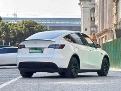 Tesla Model Y Long Range All-Wheel Drive - ფოტო 5