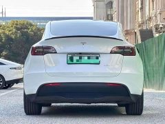 Tesla Model Y Long Range All-Wheel Drive - ფოტო 6