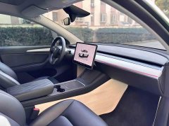 Tesla Model Y Long Range All-Wheel Drive - ფოტო 7