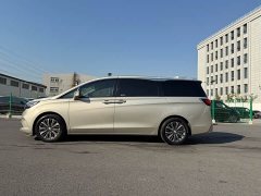 Buick GL8 ES Land Respect 653T Luxury - ფოტო 18