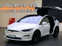 Tesla Model X Dual Motor All-Wheel Drive - ფოტო 1