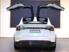 Tesla Model X Dual Motor All-Wheel Drive - ფოტო 18