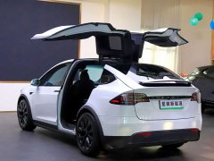 Tesla Model X Dual Motor All-Wheel Drive - ფოტო 19