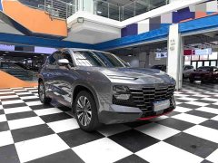 Jetour Jietu Dasheng 1.5T DCT Star Radiance PRO - ფოტო 3