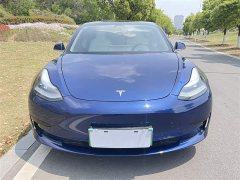 Tesla Model 3 2020 Facelift Standard Range RWD Upgrade - ფოტო 3