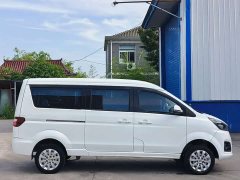 Golden Sea Lion Jinhai Lion M Classic 1.5L Engineering Lion Coach 5-seater - ფოტო 8