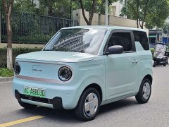 Geely Panda Mini 200km Endurance Edition - ფოტო 1