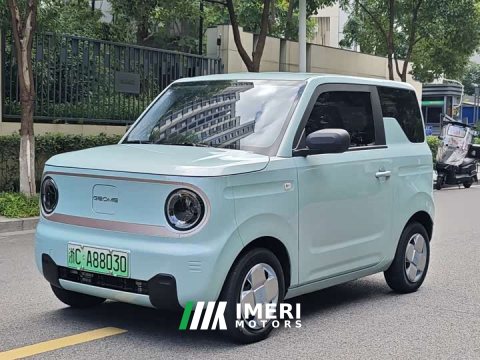 2023 Geely Panda Mini 200km Endurance Edition - ავტომობილი ჩინეთიდან