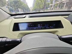 Geely Panda Mini 200km Endurance Edition - ფოტო 11