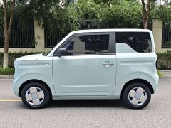 Geely Panda Mini 200km Endurance Edition - ფოტო 2