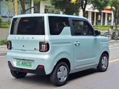 Geely Panda Mini 200km Endurance Edition - ფოტო 5