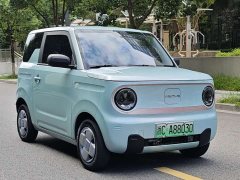 Geely Panda Mini 200km Endurance Edition - ფოტო 7