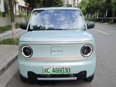 Geely Panda Mini 200km Endurance Edition - ფოტო 8