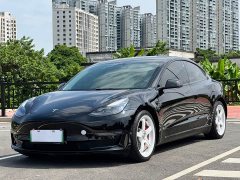 Tesla Model 3 Performance All-Wheel Drive - ფოტო 1