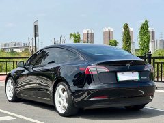 Tesla Model 3 Performance All-Wheel Drive - ფოტო 11