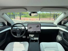 Tesla Model 3 Performance All-Wheel Drive - ფოტო 8