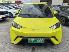 BYD Seagull Vitality Edition - ფოტო 2