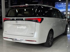 Buick GL8 Land Executive Cabin Comfort DG Edition - ფოტო 12