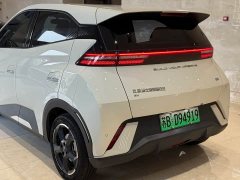 BYD Seagull 2023 Freedom Edition - ფოტო 18