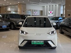 BYD Seagull 2023 Freedom Edition - ფოტო 2
