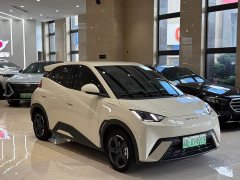 BYD Seagull 2023 Freedom Edition - ფოტო 3