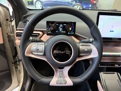 BYD Seagull 2023 Freedom Edition - ფოტო 9