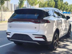 BYD Tang New Energy 2021 DM-i 112KM Premium Edition - ფოტო 17