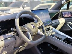 Denza BYD Denza N9 Flagship - ფოტო 4