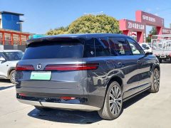 Denza BYD Denza N9 Flagship - ფოტო 9