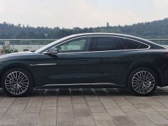 BYD Han 2020 DM AWD Performance Luxury - ფოტო 12