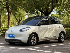 Wuling Binguo 2023 333km Joy Edition - ფოტო 1