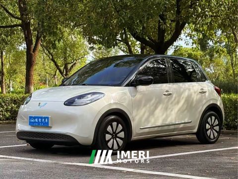 2024 Wuling Binguo 2023 333km Joy Edition - ავტომობილი ჩინეთიდან