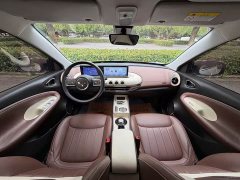 Wuling Binguo 2023 333km Joy Edition - ფოტო 12