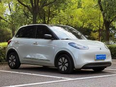 Wuling Binguo 2023 333km Joy Edition - ფოტო 3