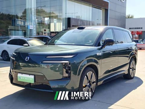 2025 Denza BYD Denza N8L Flagship - ავტომობილი ჩინეთიდან