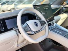 Denza BYD Denza N8L Flagship - ფოტო 4