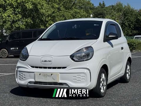2023 BYD Clever 311km Vitality Pop Edition - ავტომობილი ჩინეთიდან