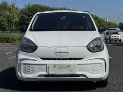BYD Clever 311km Vitality Pop Edition - ფოტო 4