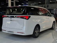 Buick GL8 Land Executive Cabin Comfort DG Edition - ფოტო 13