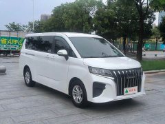Beijing Ruisheng Ace Ruisheng Wangpai M7 2.0L Long Wheelbase Enjoy Edition 7-Seater - фото 2